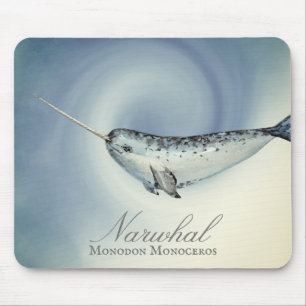 Vackert val, Monodon Monoceros Musmatta