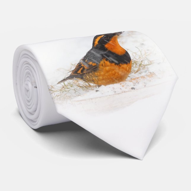 Vackert varierad Thrussongbird i Snö Slips (Rullad)