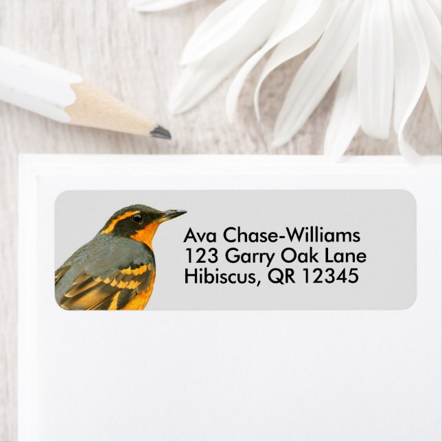 Vackert varierad Thrussongbird i Träd Returadress Etikett (Insitu)