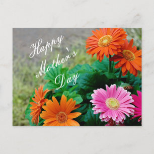 Vackert Vibrant Mors dag Gerbera Daisy Card Vykort