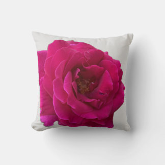 Vackert Vibrant Shock rosa i Fullt Bloom Kudde
