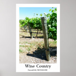 Vackert Vin Land Poster! Poster
