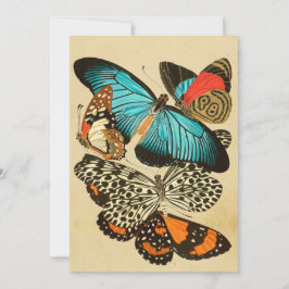 Vackert Vintage Garden Butterflies Card