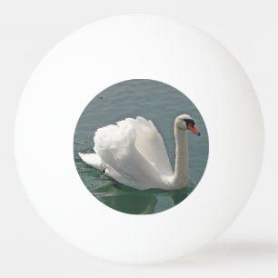 Vackert vitt svan pingisboll