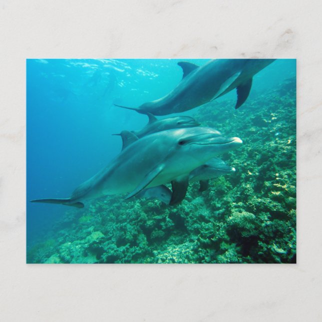 Vackert vykort (Framsida)