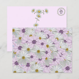 Vackert vykort för Blommigt av Rosa och vit Daisy