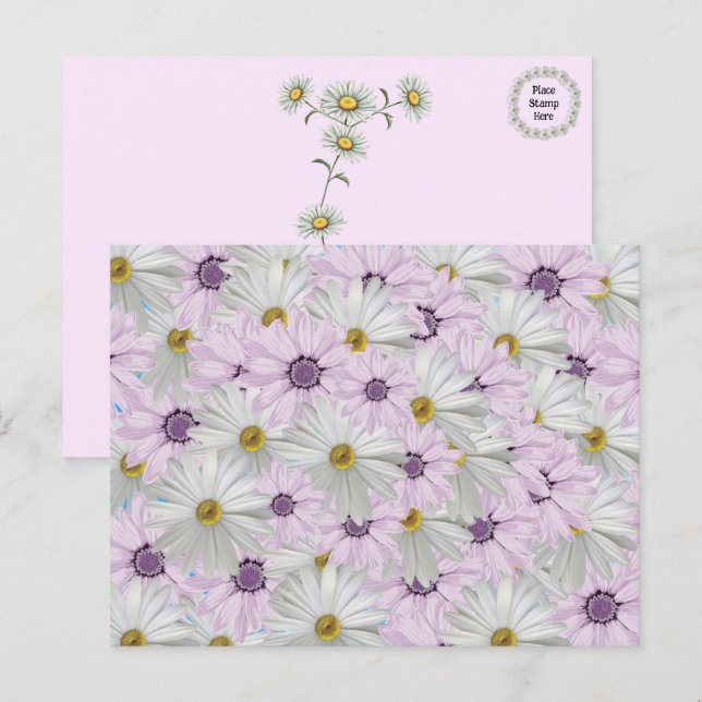 Vackert vykort för Blommigt av Rosa och vit Daisy (Fram/baksida)