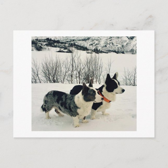 Vackert vykort för Helgdag (Framsida)