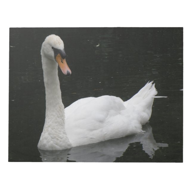 Vackert White Svan Anteckningsblock (Framsida)