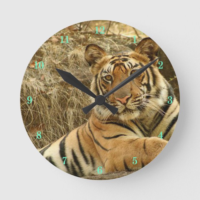 Vackert Wildlife Wall Clock Rund Klocka (Framsida)