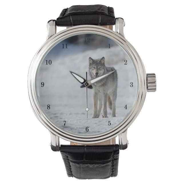 Vackert Wildlife Wrist Watch Armbandsur (Framsida)