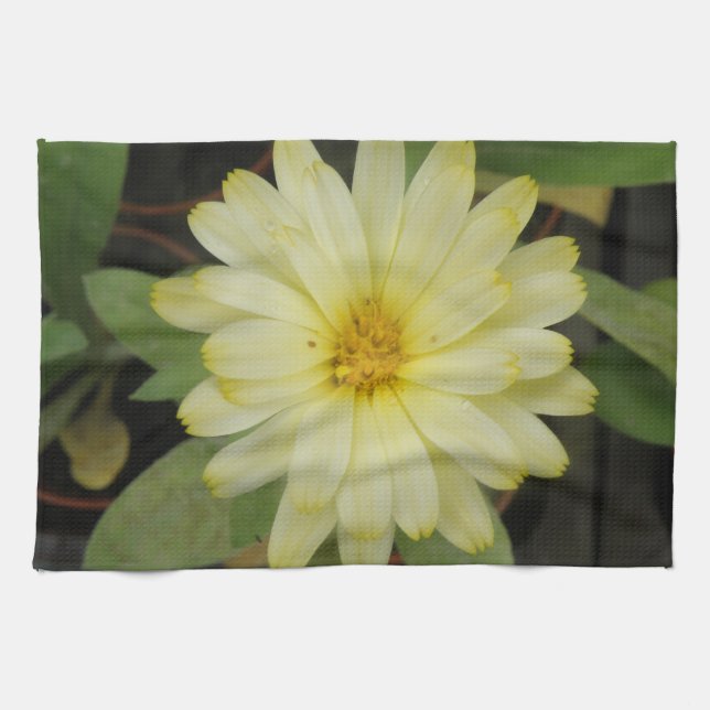 Vackig Gult Marigold Kitchen Towel Kökshandduk (Horisontell)