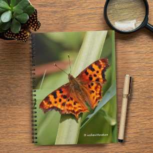 Vackig Orange Satyr Comma Butterfly Anteckningsbok