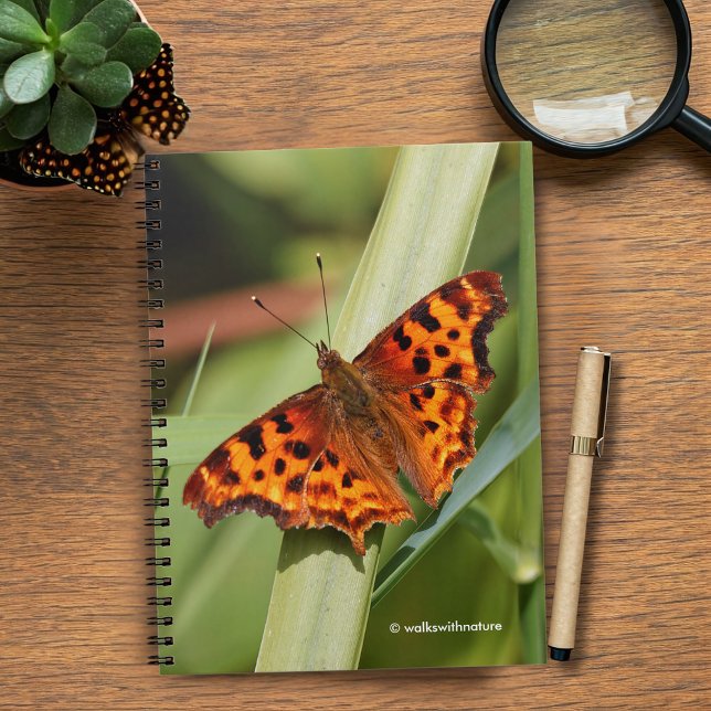 Vackig Orange Satyr Comma Butterfly Anteckningsbok (Orange Comma Satyr Butterfly in the Marsh Journal Cover Photo)