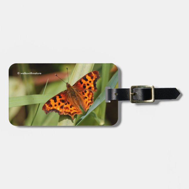 Vackig Orange Satyr Comma Butterfly Bagagebricka (Horisontell Framsida)
