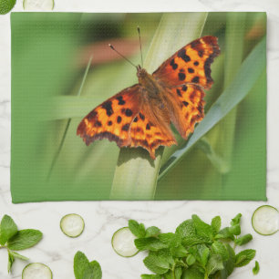 Vackig Orange Satyr Comma Butterfly Kökshandduk
