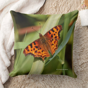 Vackig Orange Satyr Comma Butterfly Kudde