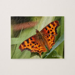 Vackig Orange Satyr Comma Butterfly Pussel