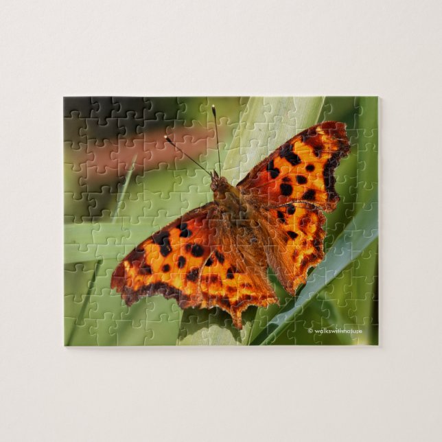 Vackig Orange Satyr Comma Butterfly Pussel (Horisontell)