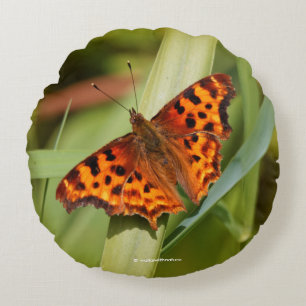 Vackig Orange Satyr Comma Butterfly Rund Kudde
