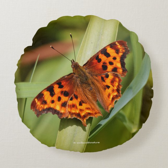 Vackig Orange Satyr Comma Butterfly Rund Kudde (Framsidan)