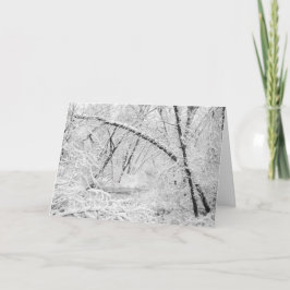 Vackra 1950-talet Snö White Covered Wooded Bäck Helgkort