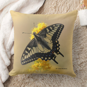 Vackra Anise Swallowtail Butterfly i Sol Kudde