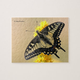 Vackra Anise Swallowtail Butterfly i Sol Pussel