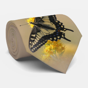 Vackra Anise Swallowtail Butterfly i Sol Slips