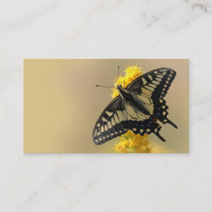 Vackra Anise Swallowtail Butterfly i Sol Visitkort