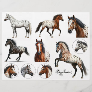 Vackra Appaloosa-hästillustrationer