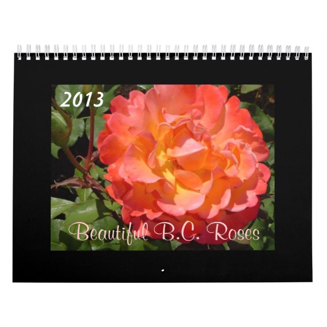 Vackra B.C. Rosor 2013 Kalender (Omslag)
