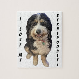 Vackra bild vid Birdie i Bernedoodle-hund Pussel
