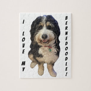 Vackra bild vid Birdie i Bernedoodle-hund Pussel