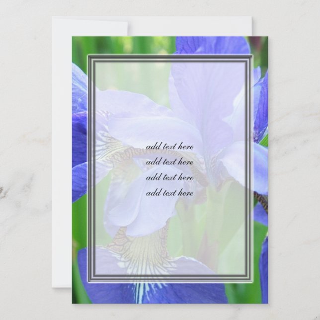 vackra blå iris-blommor (Framsida)