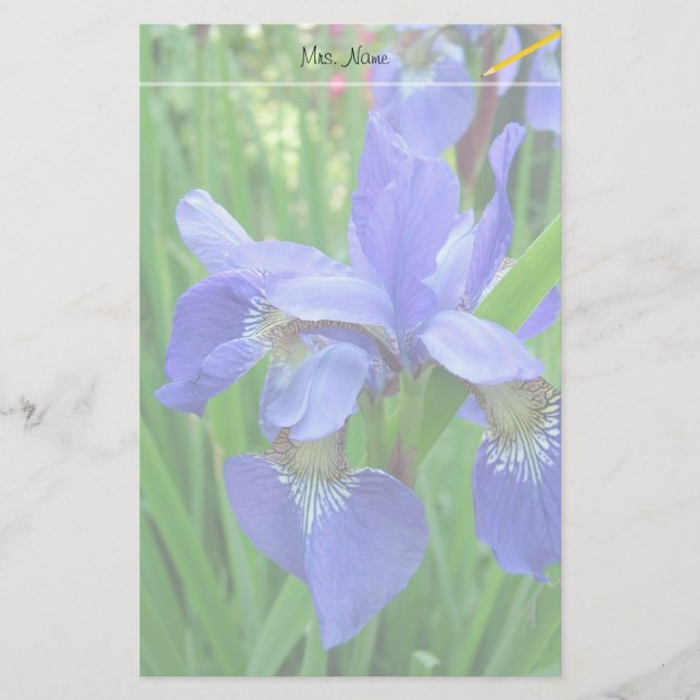vackra blå iris-blommor brevpapper (Framsida)