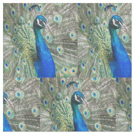 Vackra blå peacock Feathers Tyg