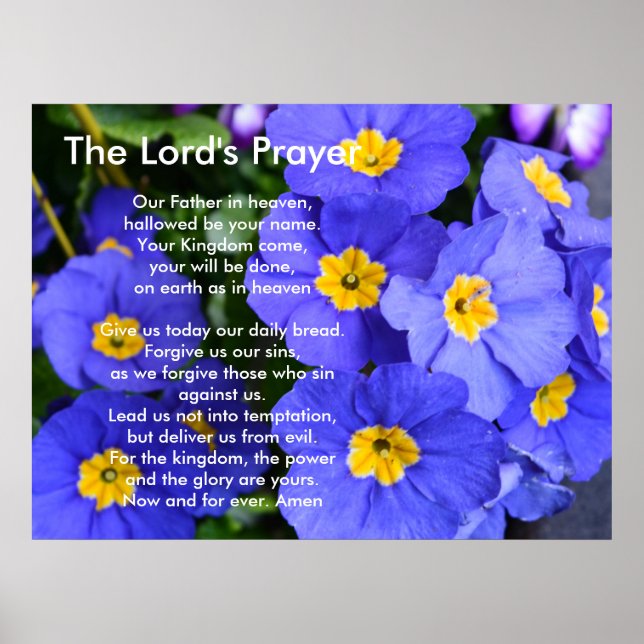 Vackra blå trädgårdsblommor. Lord's Prayer Poster (Framsidan)