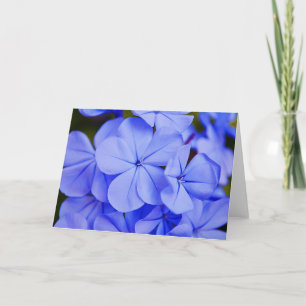 Vackra blå Tropiska blommor - anteckningskort