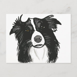 Vackra Black and White Gräns Collie Vykort