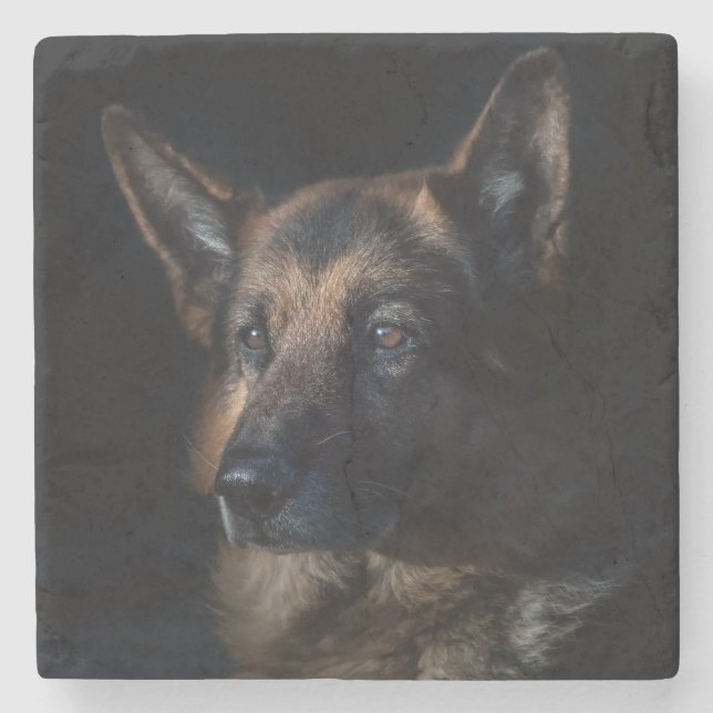 Vackra Black och Tan German Shepherd Stenunderlägg (Framsidan)