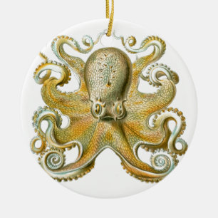 Vackra bläckfisk, bild, Haeckel Julgransprydnad Keramik