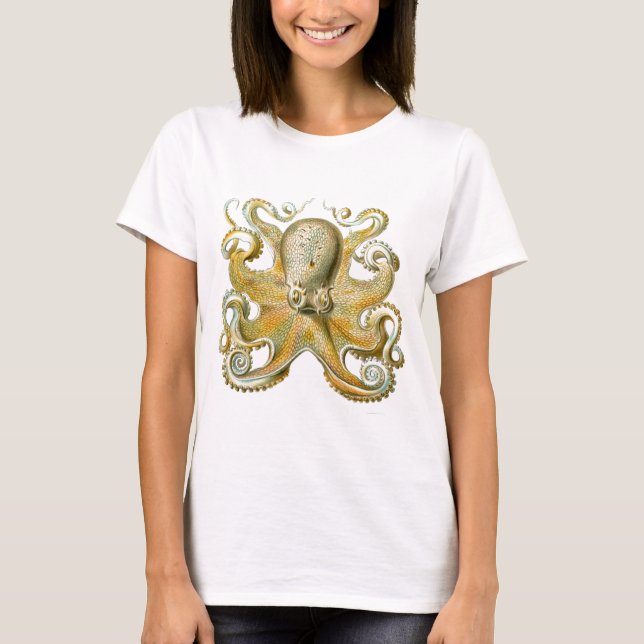 Vackra bläckfisk, bild, Haeckel T-shirt (Framsida)