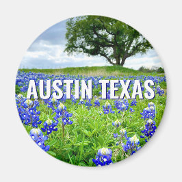 Vackra blånät Austin Texas Fotografi Magnet