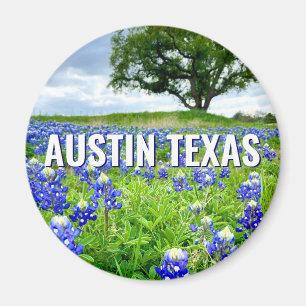 Vackra blånät Austin Texas Fotografi Magnet