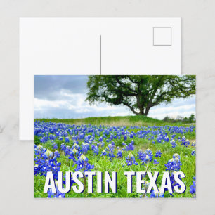 Vackra blånät Austin Texas Fotografi Vykort