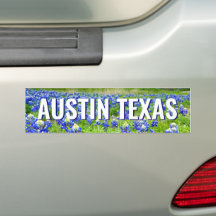Vackra blåstjärnor Austin Texas Fotografi