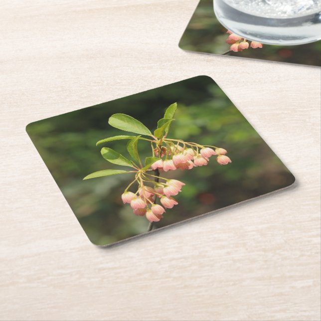 Vackra blommor av Enkianthus Underlägg Papper Kvadrat (Vinklad)