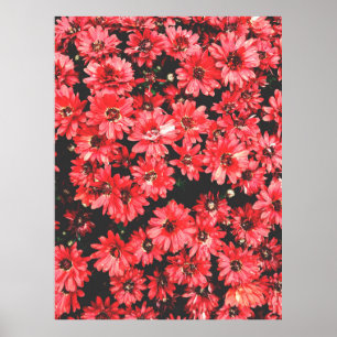 vackra blommor av rött färg, blomman mönster, vara poster