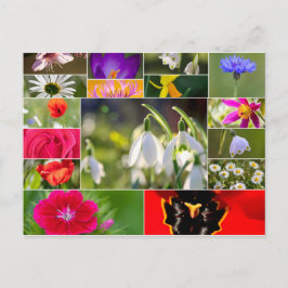 Vackra blommor för vår- och sommarkänslor! vykort